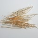Head Pin 50mm Gold Plated Brass 21ga - Pack of 100