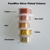 ParaWire 20ga Round Yellow Silver Plated Copper Wire - 5 Metres Compare Colours