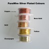 ParaWire 22ga Round Champagne Silver Plated Copper Wire - 7 Metres Compare Colours