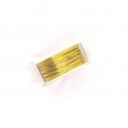 ParaWire 20ga Round Yellow Silver Plated Copper Wire - 5 Metres