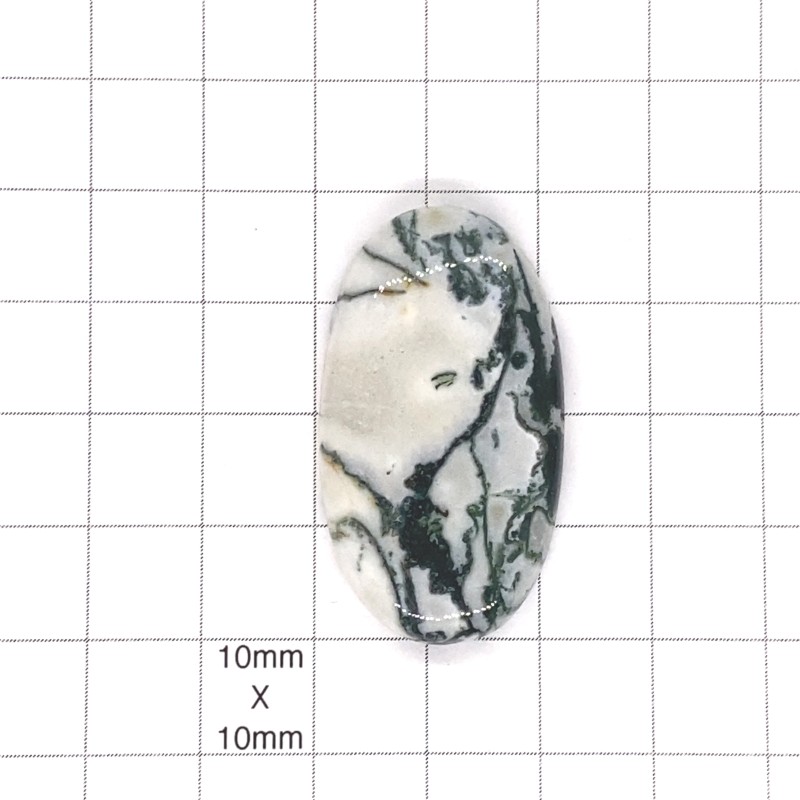 Tree Agate Oval Cabochon - 39x22x6mm Sold Individually Tree Agate Oval Cabochon - 39x22x6mm Sold Individually