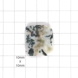 Back - Tree Agate Square Cabochon - 27x25x5mm Sold Individually