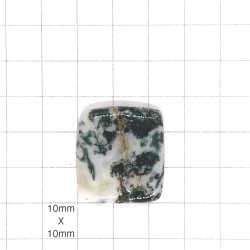 Front - Tree Agate Square Cabochon - 27x25x5mm Sold Individually